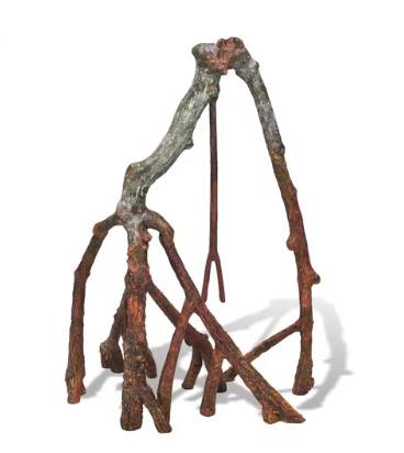 Tropical Mangrove root A