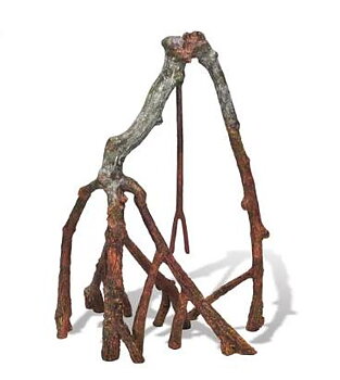 Tropical Mangrove root A