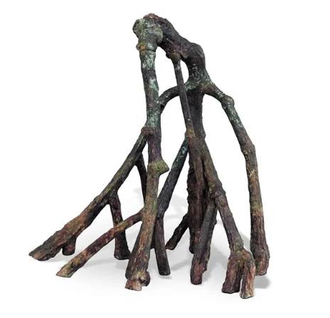 Tropical Mangrove root I