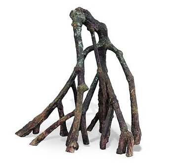 Tropical Mangrove root I