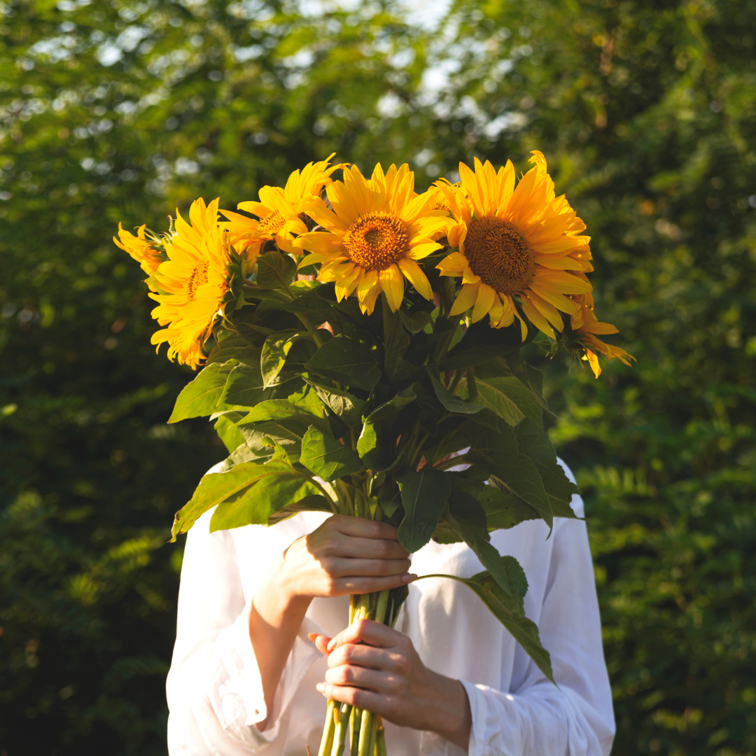 Solros - Snittblomsmix