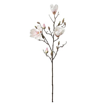 Magnolia snittblomma    plast