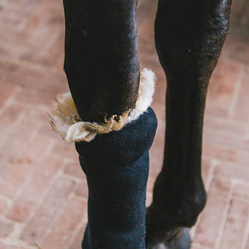 KENTUCKY THERAPEUTIC WOOL 