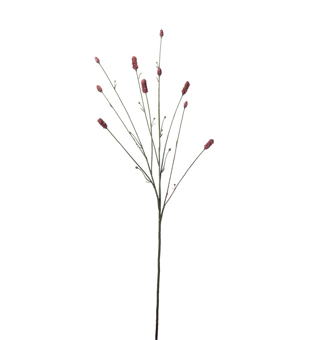 Pimpinell Snittblomma plast