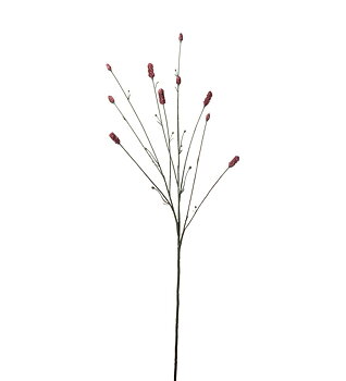 Pimpinell Snittblomma plast
