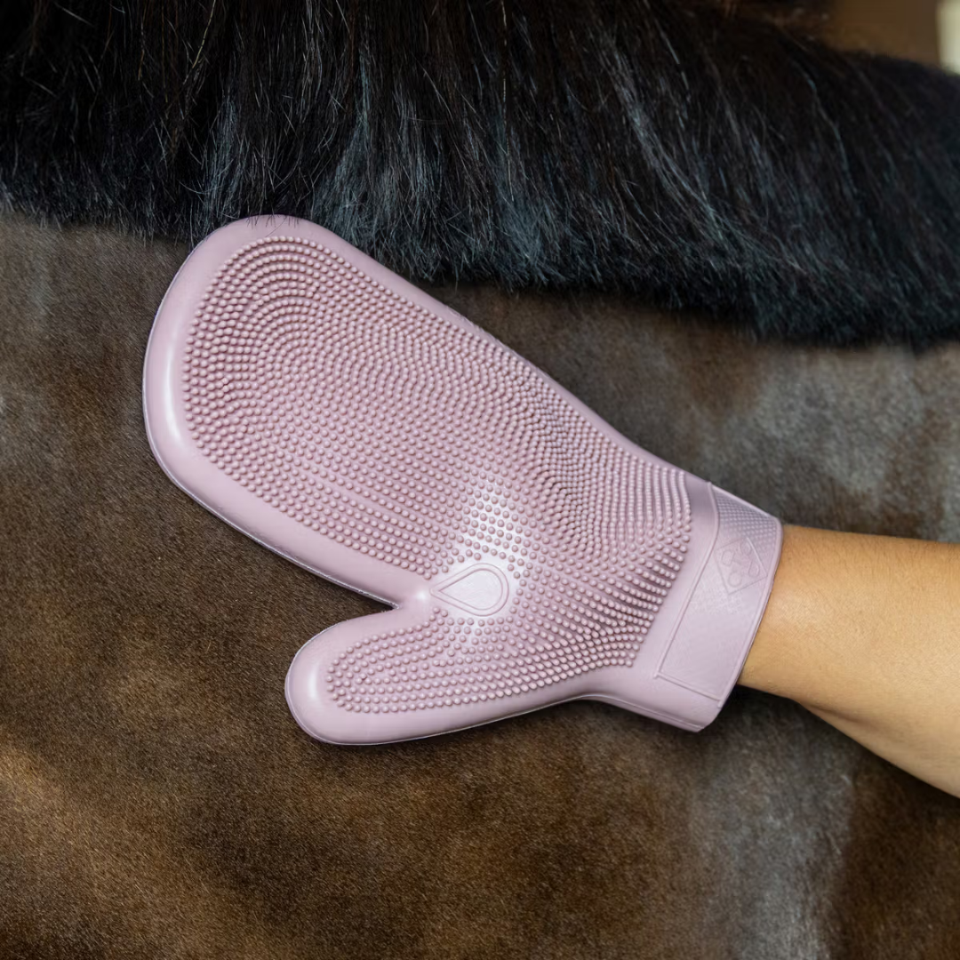 KENTUCKY RUBBER GROOMING GLOVE  - 5