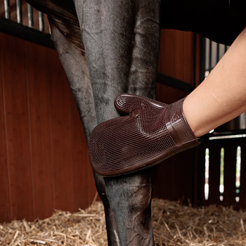 KENTUCKY RUBBER GROOMING GLOVE 