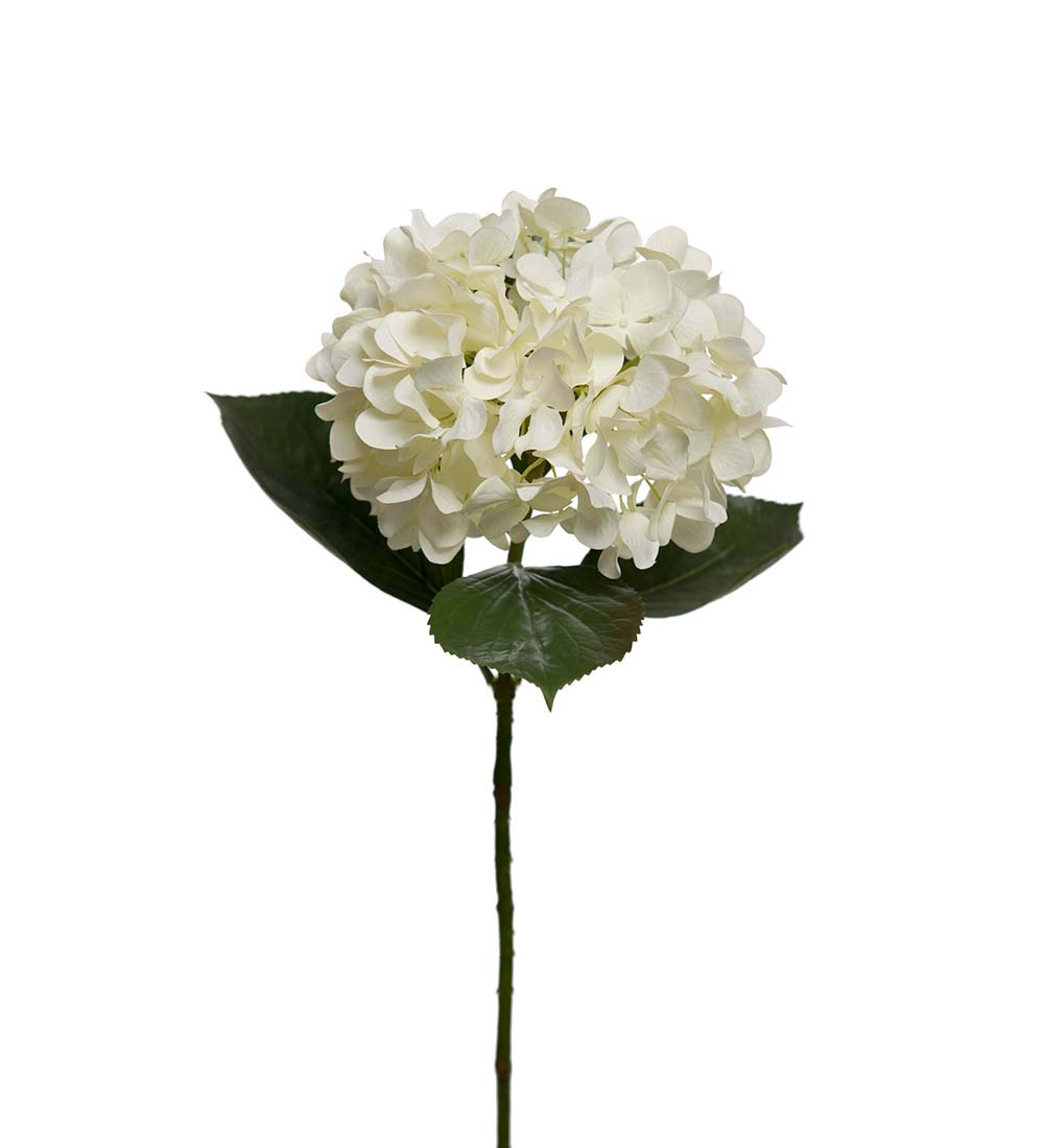 Hortensia  Snittblomma plast