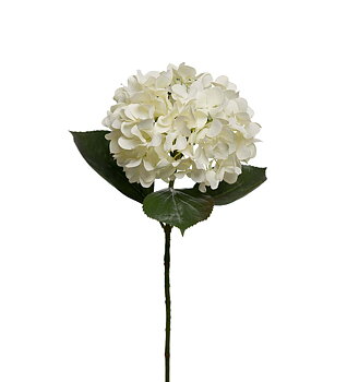 Hortensia  Snittblomma plast