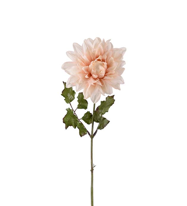 Dahlia snittblomma plast