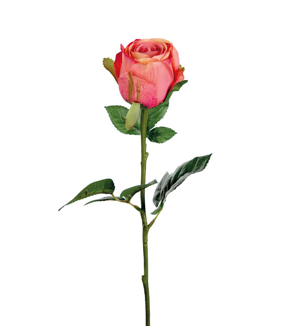 Ros snittblomma plast