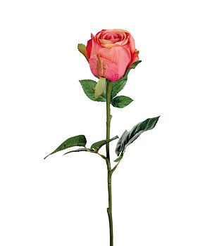 Ros snittblomma plast