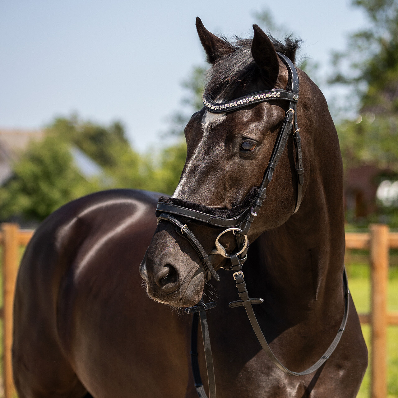 QHP Sensisoft Bridle – Black – faux fur