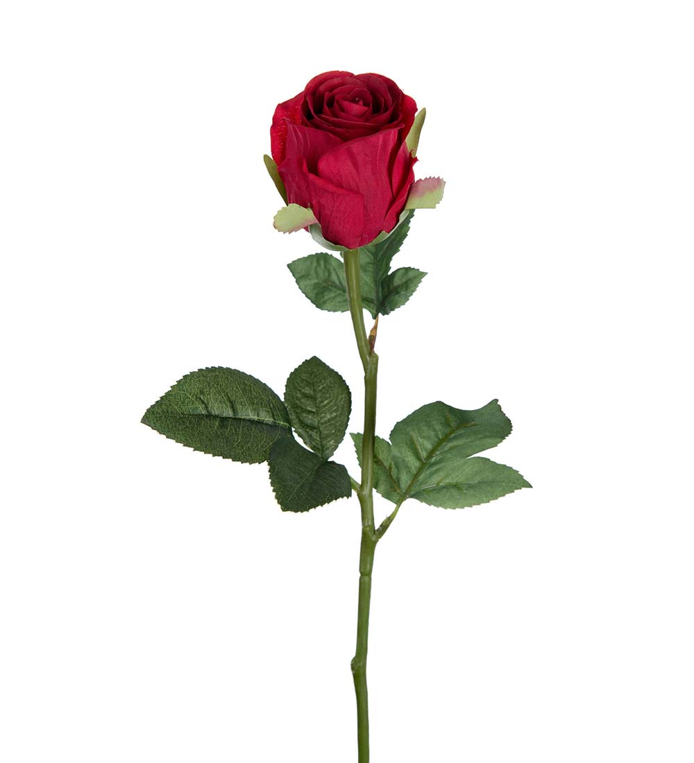 Ros Röd snittblomma plast