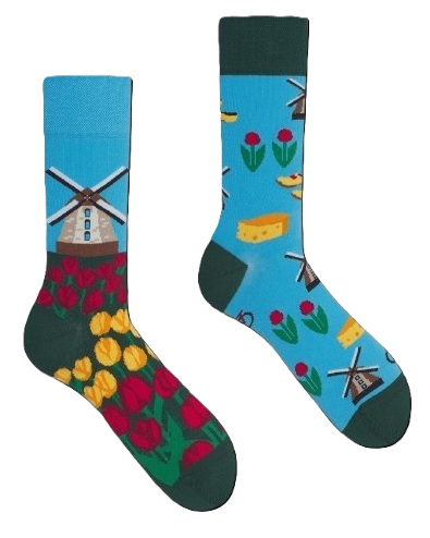 Many Mornings Dutch Tulips Socks