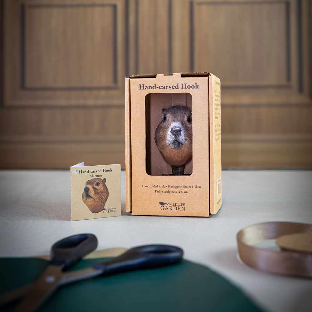 Hook Marmot - 4