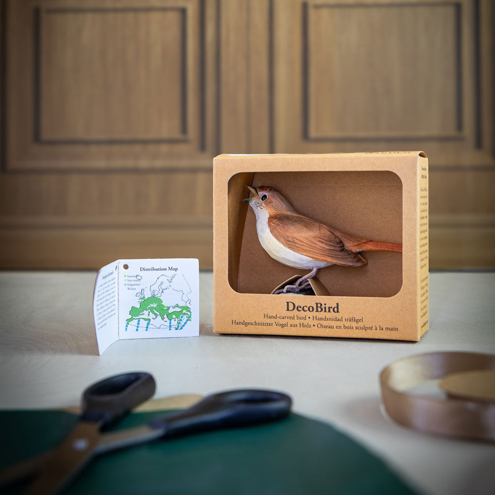 DecoBird Rossignol Philomèle - 3
