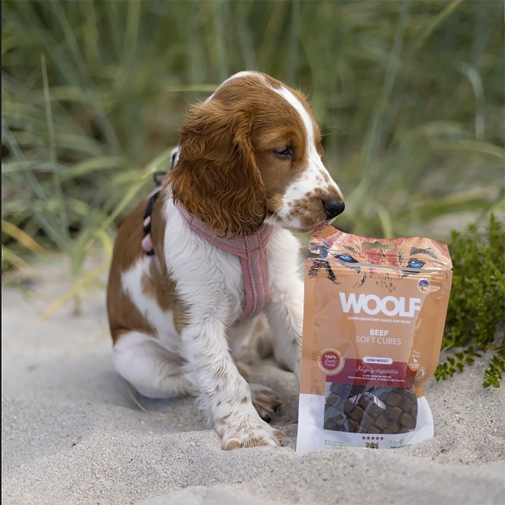 Soft pieces dog treats grain free gluten free
