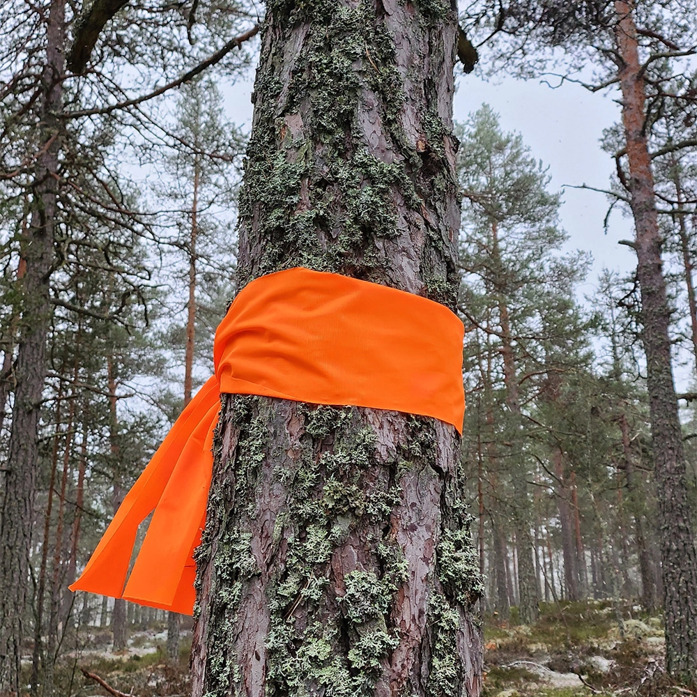 Bred markeringssnitsel till spårhunden uppletande rutan 