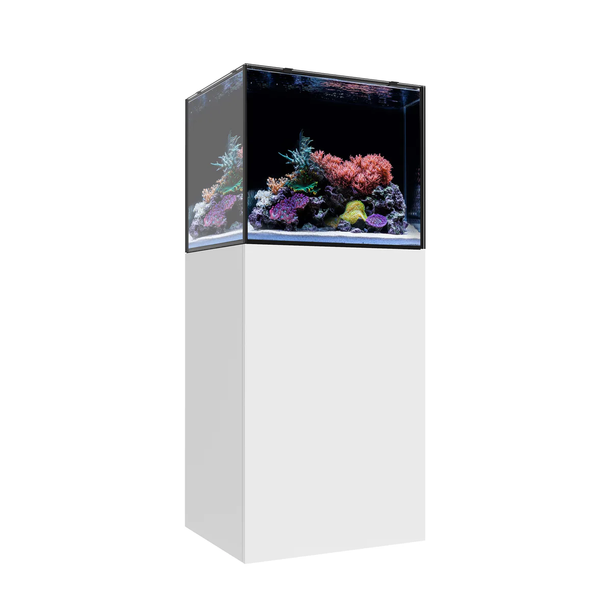 Waterbox MARINE EX - 11