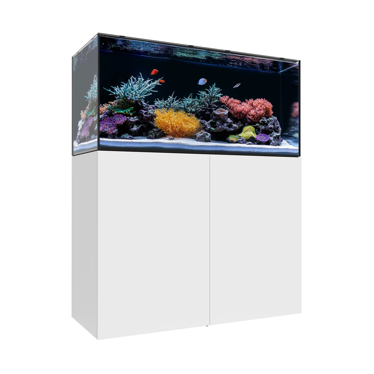 Waterbox MARINE EX