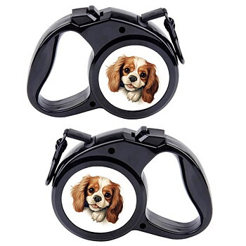 Rullebånd  Hund  9