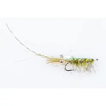 Danofly - NCA Olive #6