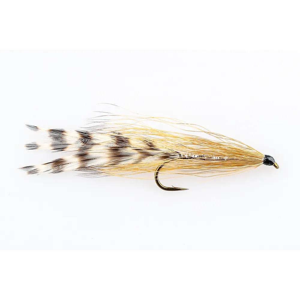 Danofly - Deciever Cockroach #6