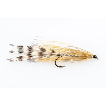 Danofly - Deciever Cockroach #6
