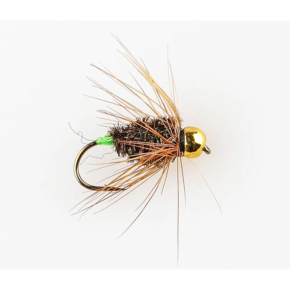 Danofly - Black Peacock Spider GH #12