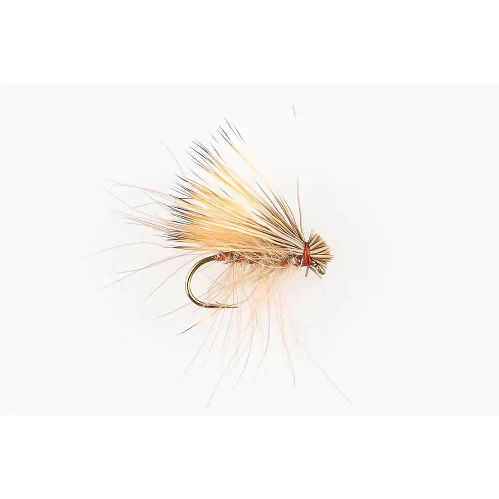 Danofly - CDC Elk Hair Caddis #12