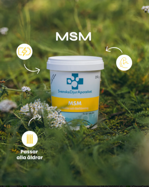 Svenska Djurapoteket MSM 250g