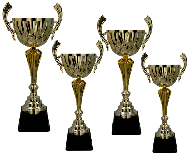 Pokal Gotland, inklusive gravyr!