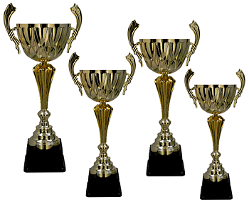 Pokal Gotland, inklusive gravyr!
