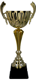 Pokal Gotland, inklusive gravyr!