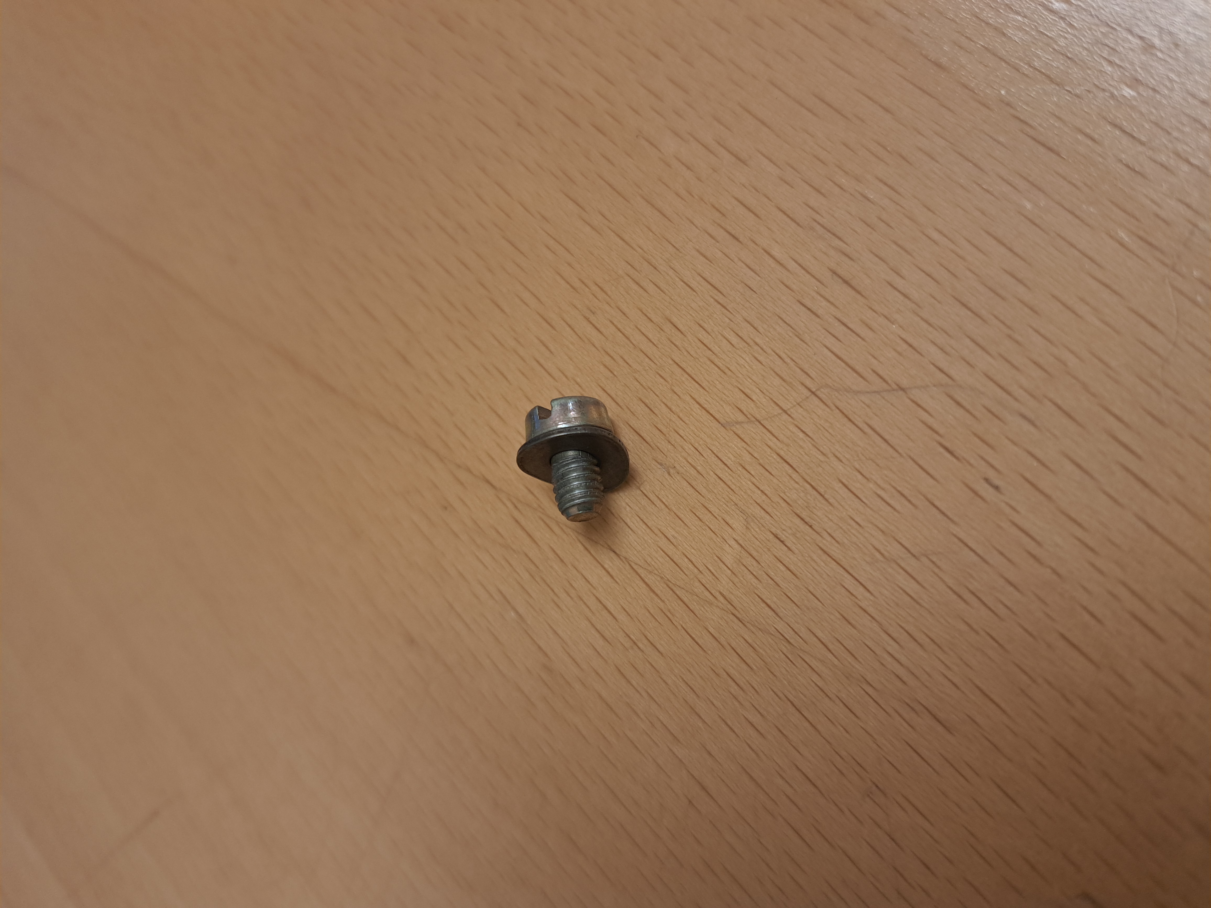 Screw