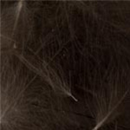 CDC Feathers - Futurefly - 3