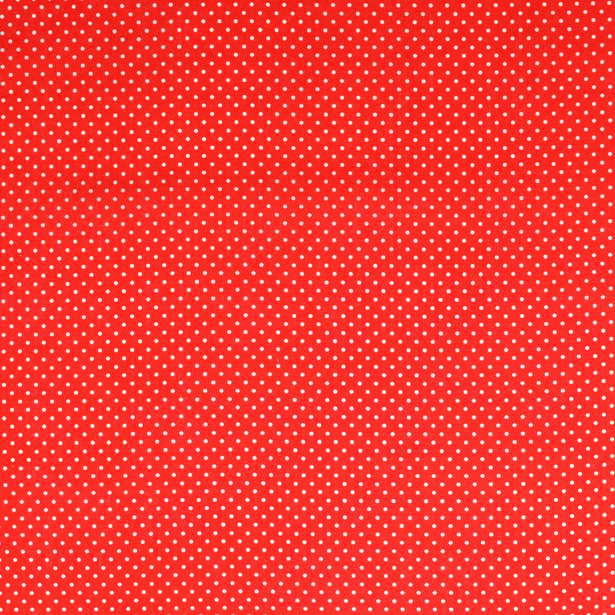 Vitprickig Poplin