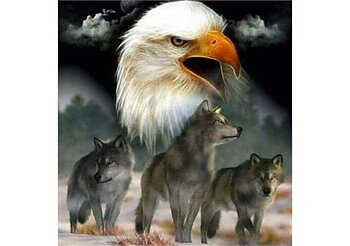 Eagle & Wolf, Noessa Diamond Painting