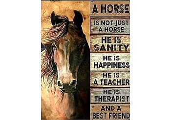 About a Horse, Noessa Diamond Painting