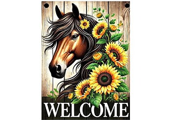 Solros Häst, Noessa Diamond Painting