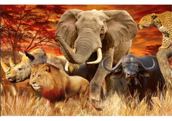 Safari Animals, Noessa Diamond Painting
