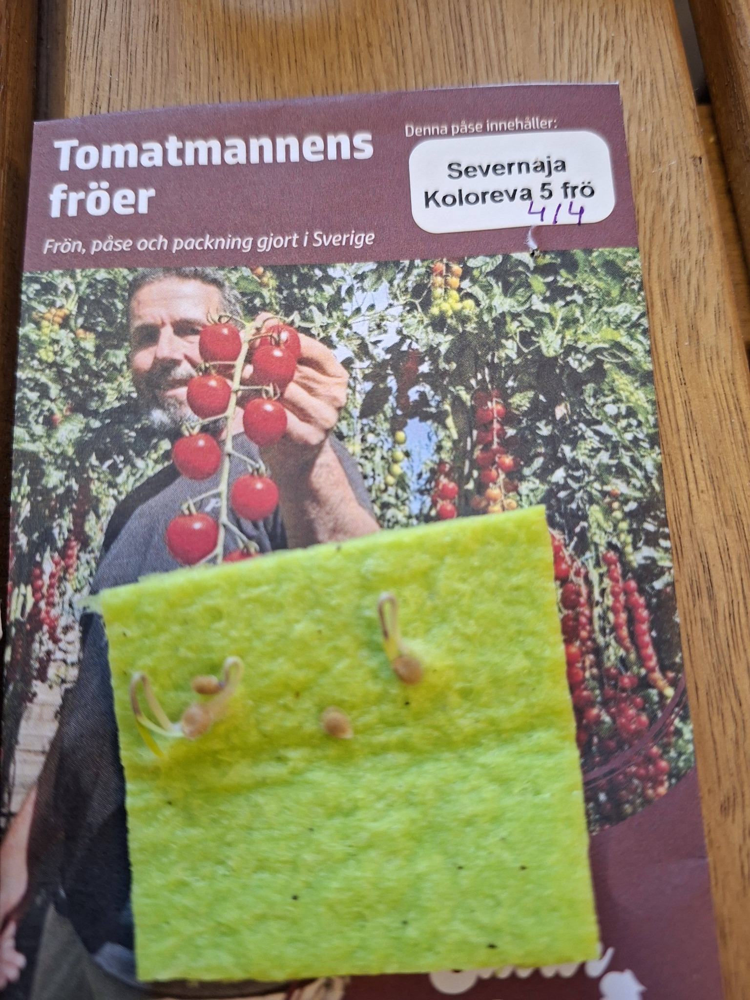 Tomatmannens Tomat Severnaja Koloreva 5 frö Nyhet 2026! - 2