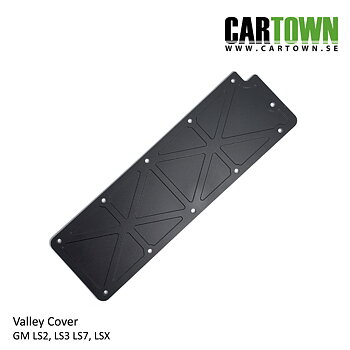 Billet Valley Cover LS, bl