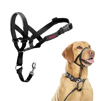 Halti nosgrimma för hunden som drar i kopplet