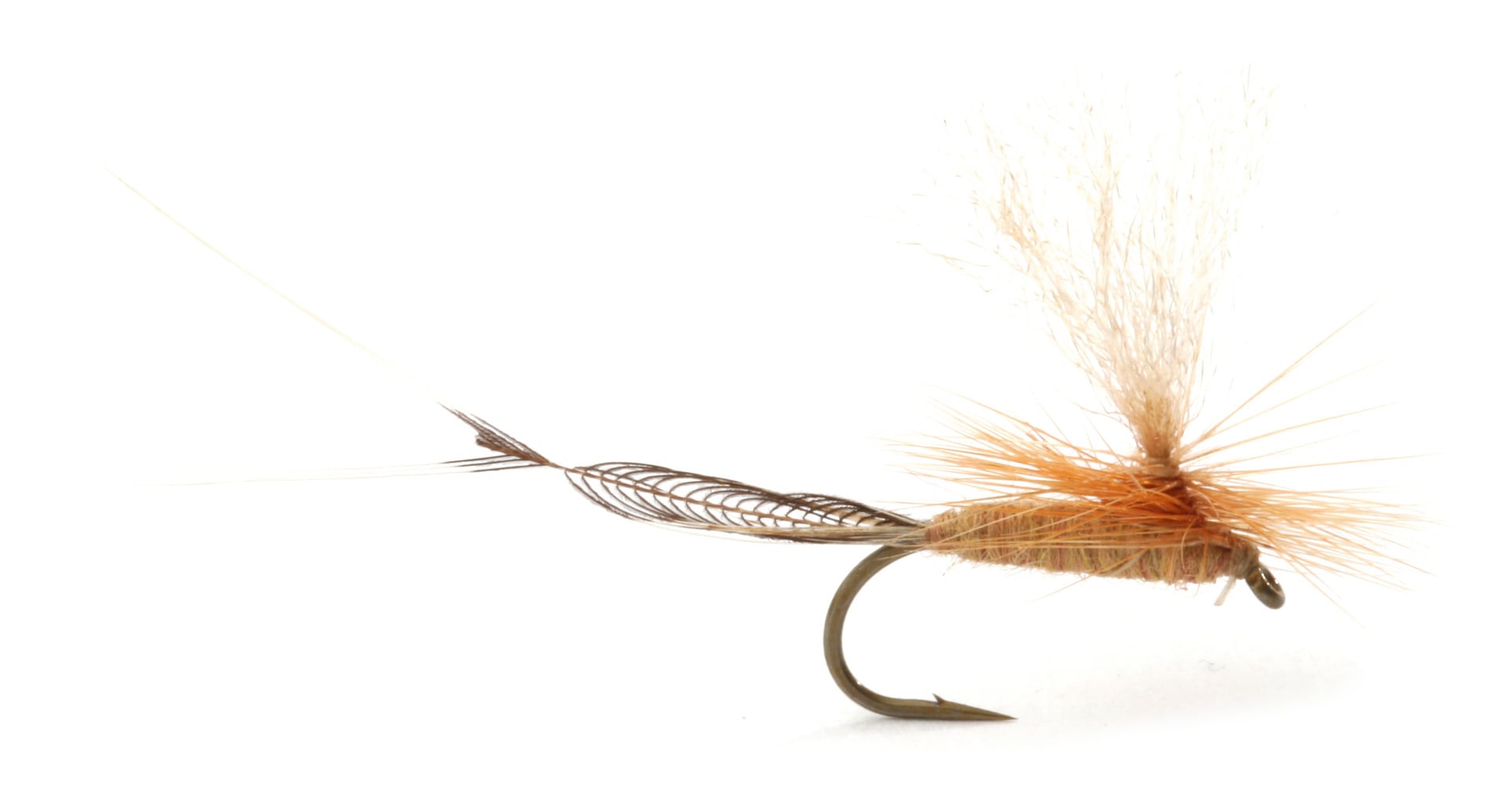Guideline Vulgata #10