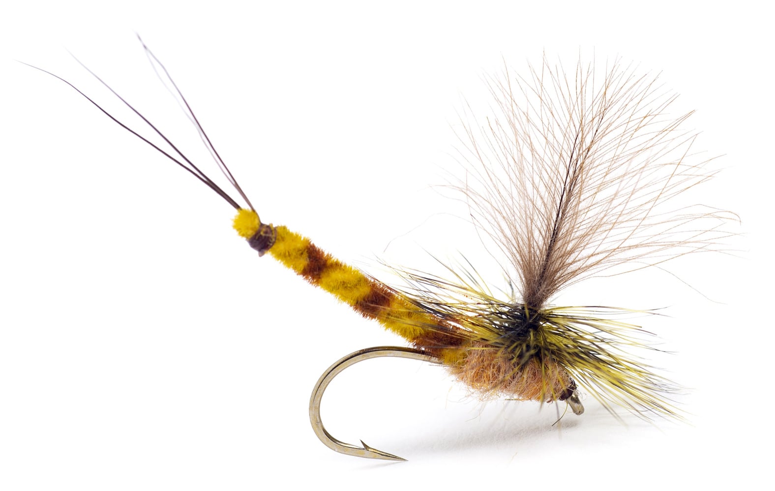 Guideline  Vulgata Dun #10