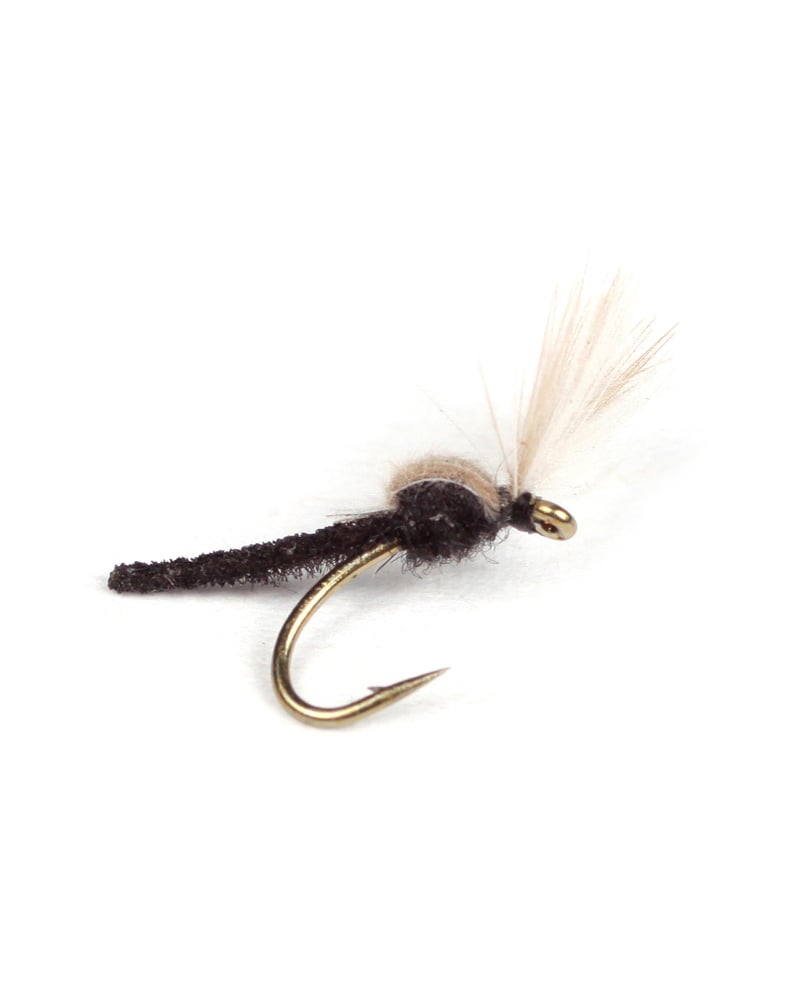 Guideline CDC Palomino Midge #18