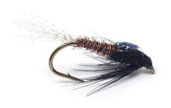Guideline DK Brown Flashback PTN #12