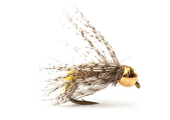 Guideline Double Leg #10